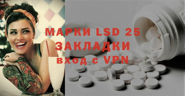 PSILOCYBIN Дмитров