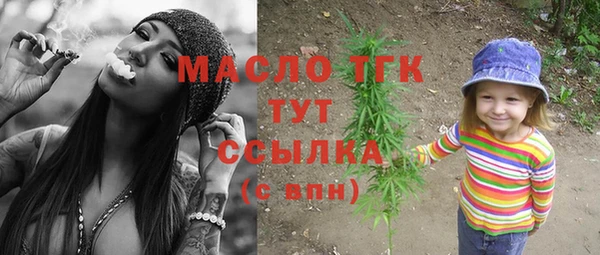 СК Дмитровск