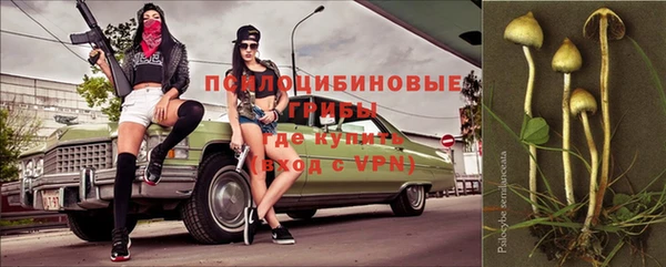 MDMA Гусев