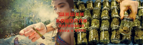 марихуана Дмитриев